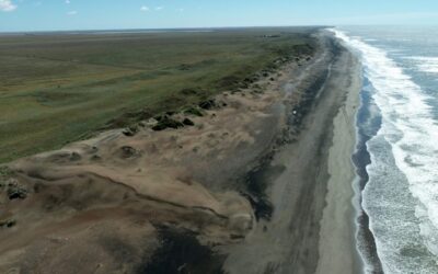 Tierras raras: una mirada hacia el pasado geológico para conocer mejor un recurso estratégico