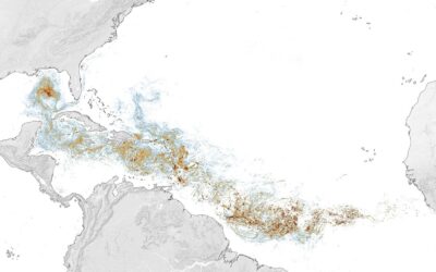 Crece el cinturón de sargazo del Atlántico