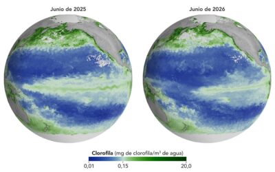 El Niño altera la vida marina en el Pacífico