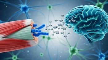 El papel del ejercicio en el Parkinson: por qué los especialistas lo consideran cada vez más importante