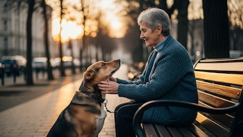 Los perros pueden distinguir emociones humanas con solo mirar el rostro, revela un estudio