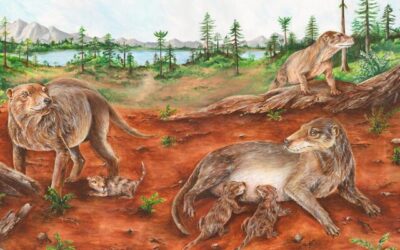 Revelan que el viviparismo surgió en el linaje de los mamíferos más de 90 millones de años antes de lo que se creía
