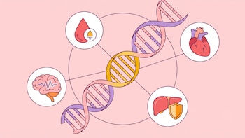 Una variante genética poco frecuente podría proteger contra la diabetes, el infarto y otras enfermedades graves
