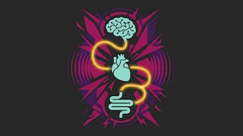Cómo influye el estrés en una conexión clave entre el cerebro y el cuerpo