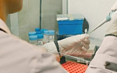 Descubren un blanco terapéutico contra el cáncer de hígado más frecuente