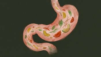Intestino permeable: qué dice la ciencia sobre un término que gana espacio en las redes sociales