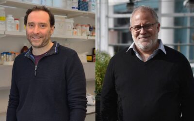 Científicos del CONICET recibirán subsidio internacional para proyectos colaborativos de investigación en biomedicina