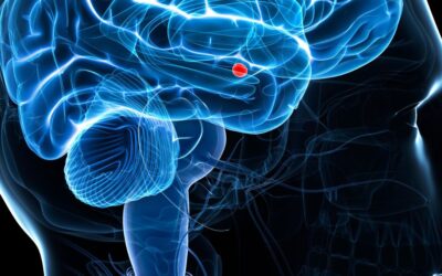 IV Jornada Argentina de Gliomas: ciencia, innovación y comunidad