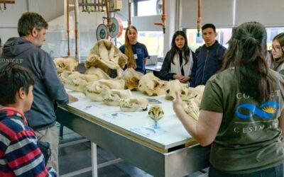 Miles de personas participaron de una nueva edición del CENPAT Abierto en Puerto Madryn